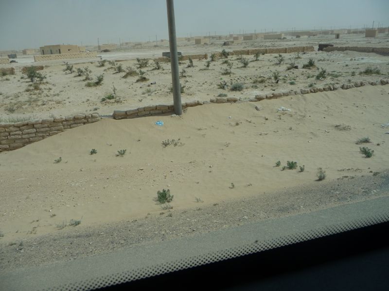 P1030404.JPG